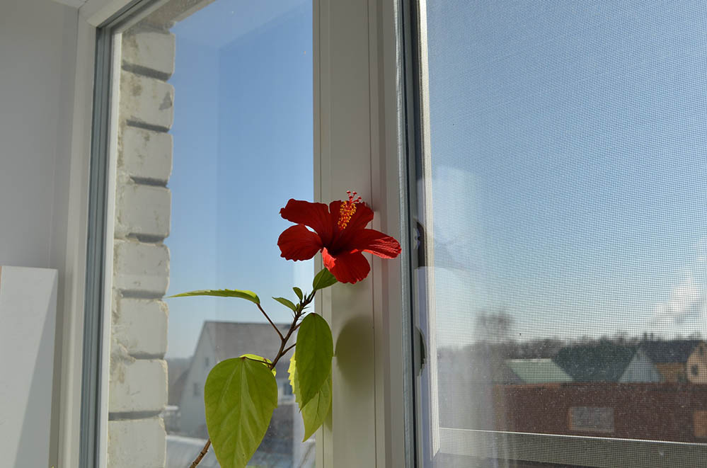 Műanyag ablak méretek